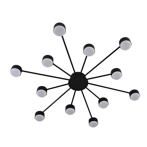 Накладная люстра LUMION 8344/12C