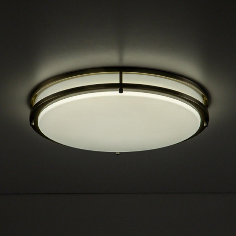 Накладной светильник Citilux CL709503N
