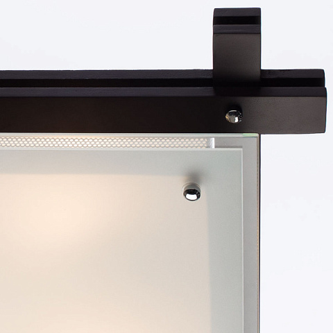 Накладной светильник ARTE Lamp A6462PL-3CK