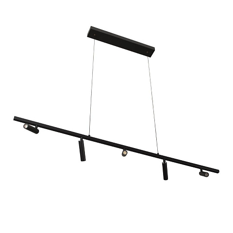 Спот LOFT IT 10260/5 Black