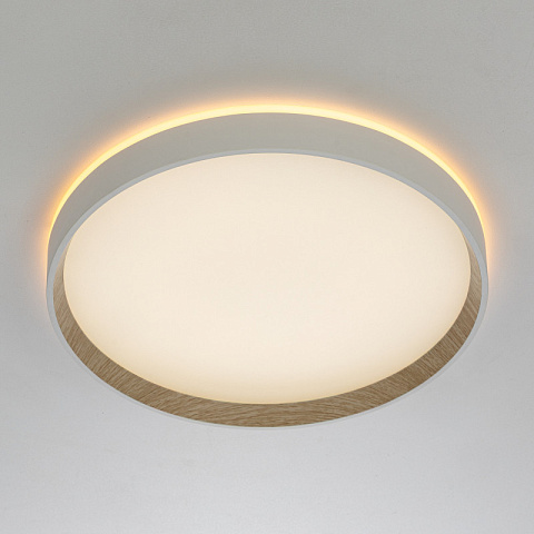 Накладной светильник Citilux CL750320R
