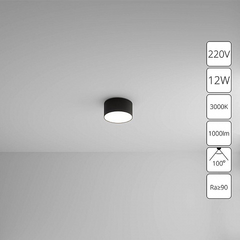 Накладной светильник ARTE Lamp A7312PL-1BK
