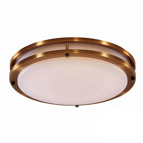 Накладной светильник Citilux CL709503N