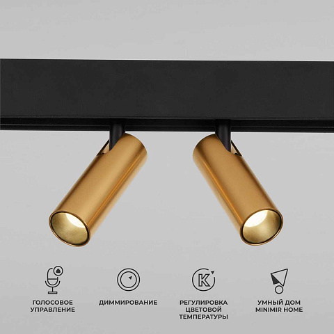 Трековый светодиодный светильник Elektrostandard Slim Magnetic Dim Dual 85056/01 латунь a063527