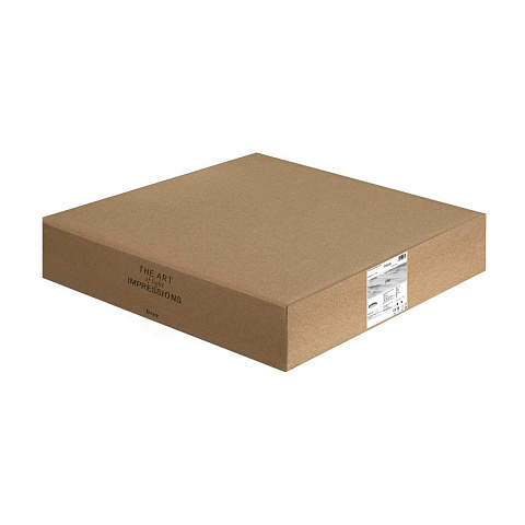 Потолочный светильник Freya Пирог / Pie FR6086CL-L117B