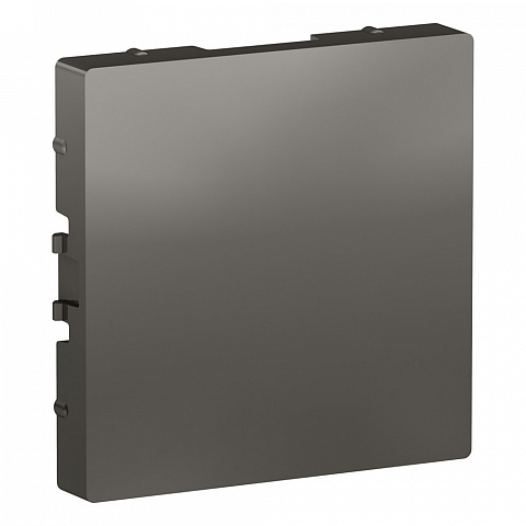 Systeme Electric AtlasDesign Сталь Заглушка