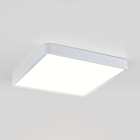 Потолочный светодиодный светильник Elektrostandard DLS034 24W 4200K a043018
