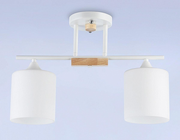Накладной светильник Ambrella Light TR9541