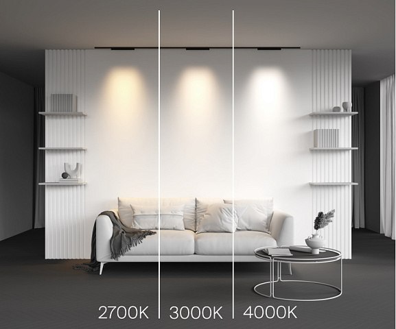 Светильник на шине Maytoni TR193-1-15W2.7K-M-B