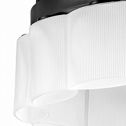 Подвесная люстра Lightstar 812236
