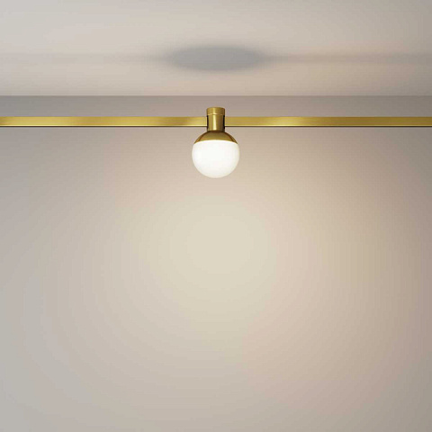 Светильник на шине Maytoni TR149-1-5W3K-BS