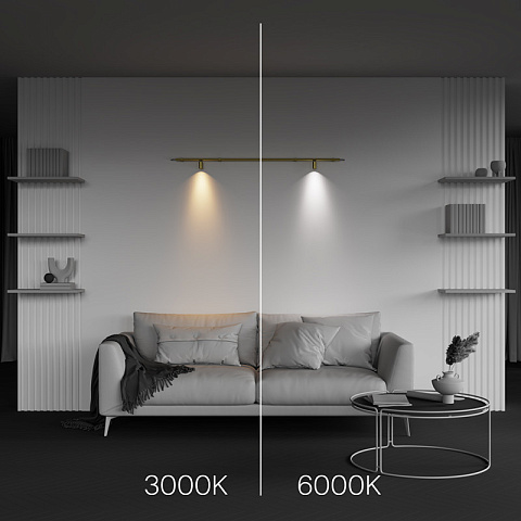 Светильник на шине Maytoni C103CL-5W3-6K-BS