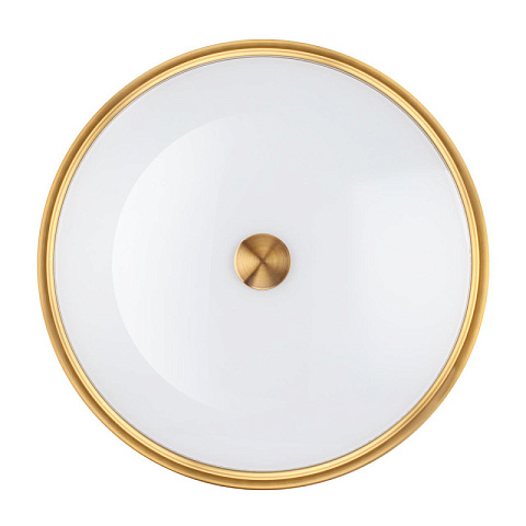 Накладной светильник Odeon Light 4824/4C