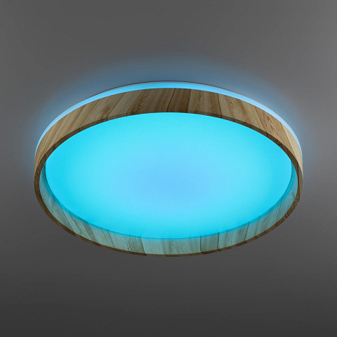 Накладной светильник Citilux CL753452G