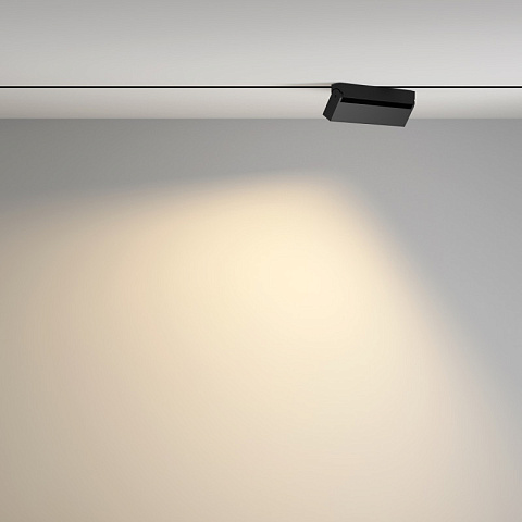 Светильник на шине Maytoni TR077-2-20W3K-B