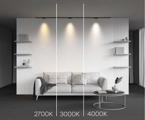 Светильник на шине Maytoni TR193-1-5W3K-M-B