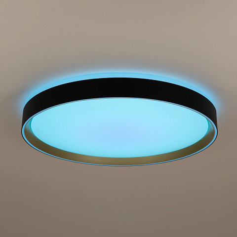 Накладной светильник Citilux CL751451G