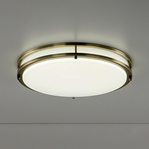 Накладной светильник Citilux CL709503N