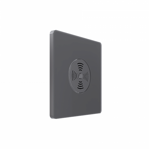 Systeme Electric Systeme Infinity Вулканический пепел Выключатель звуковой 100Вт с выдержкой времени