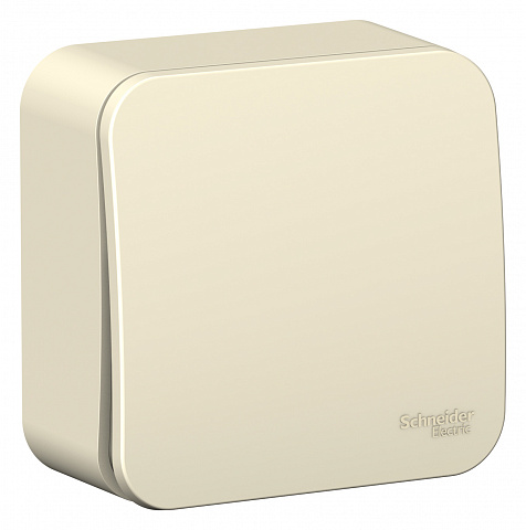 Systeme Electric Blanca наруж Молочный Выключатель 1-клавишный с самовозвратом, 10А, 250В, изолир. пластина