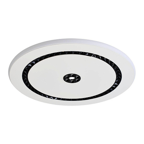 Потолочный светодиодный светильник F-Promo Skiva 4433-1C