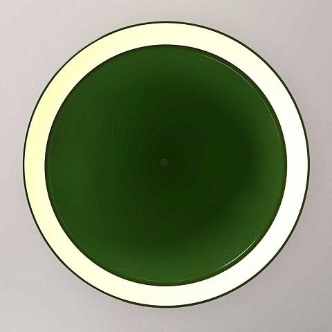 Подвесной светильник Imperium Loft Woud Annular D25 Bright Green 302462-26