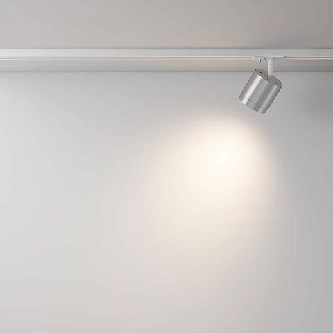 Светильник на шине Maytoni TR088-1-GX53-S