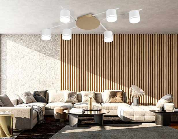 Накладной светильник Ambrella Light FL51755