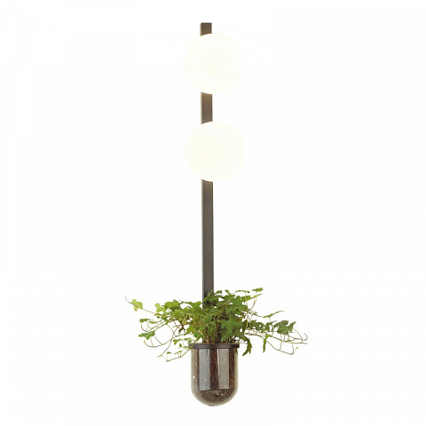 Бра Odeon Light 4681/2WA