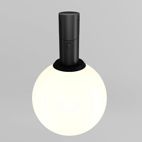 Светильник на шине Maytoni TR208-1-5W3K-B