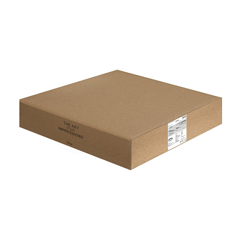 Накладной светильник Freya FR6160CL-L40B