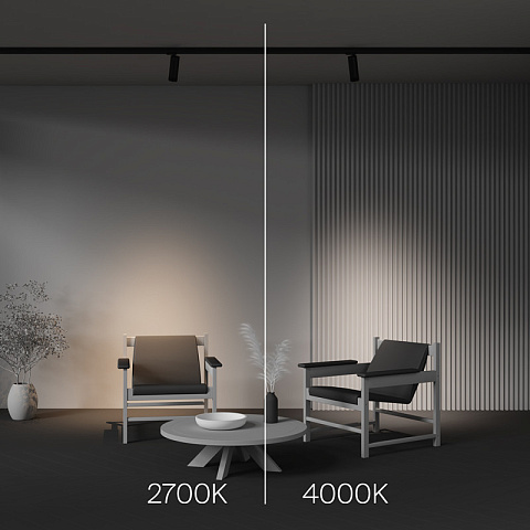 Светильник на шине Maytoni TR198-3-20W2.7K-Z-B
