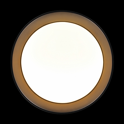 Накладной светильник LOFT IT 10202 BB