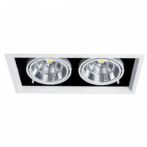 Встраиваемый светильник ARTE Lamp A8450PL-2WH