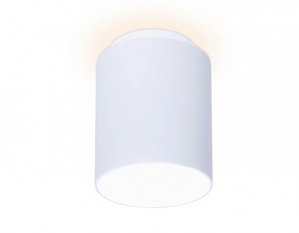 Накладной светильник Ambrella Light TN261