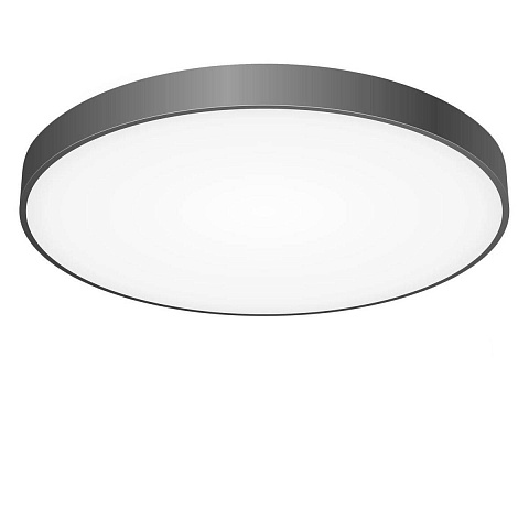Накладной светильник Citilux CL724155G1