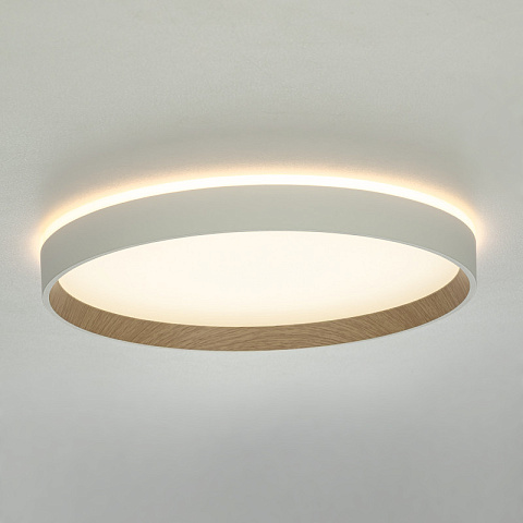 Накладной светильник Citilux CL750320R