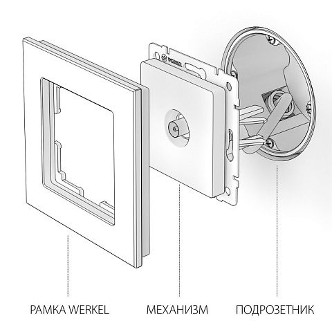 Розетка Werkel W1183010