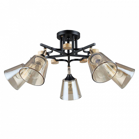 Потолочная люстра Arte Lamp GLASSY A5078PL-5BK