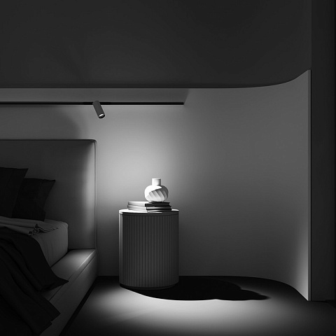 Светильник на шине Maytoni TR032-2-12W3K-M-BW