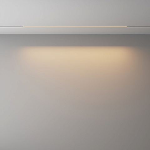 Светильник на шине Maytoni TR240-2-18W3K-B