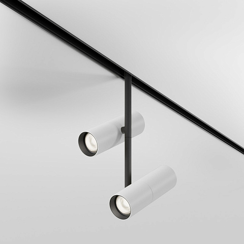 Светильник на шине Maytoni TR005-4-2X12W-DS-BW