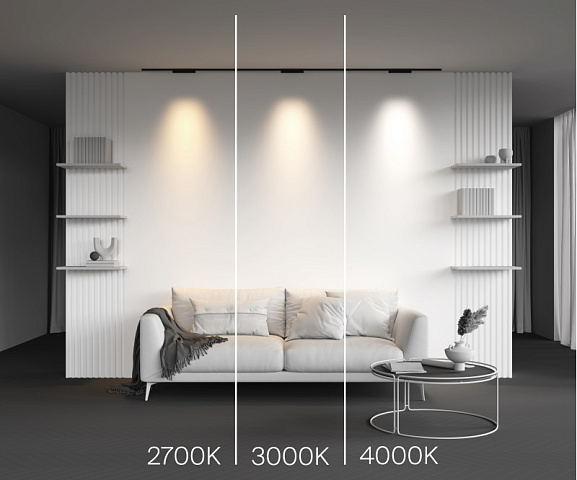 Светильник на шине Maytoni TR193-1-10W2.7K-M-B