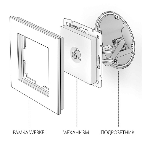 ТВ-розетка оконечная Werkel серебряный W1183006 4690389164873