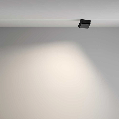Светильник на шине Maytoni TR077-2-10W4K-B