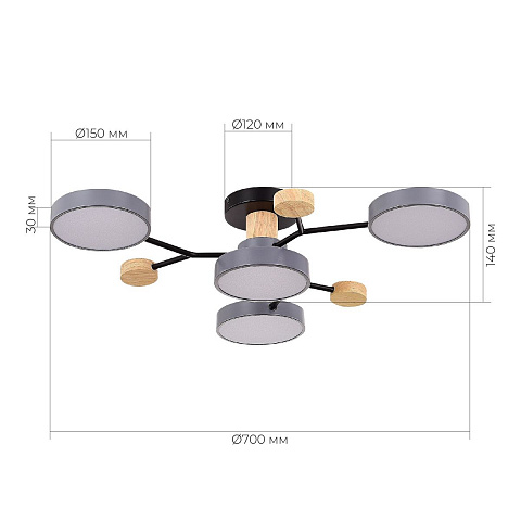 Потолочная светодиодная люстра Evoluce FAEMA SLE6006-702-04