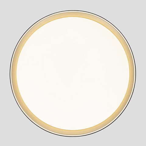 Накладной светильник Citilux CL751451G
