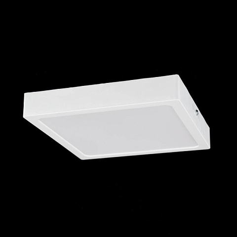 Накладной светильник Citilux CL55K22N