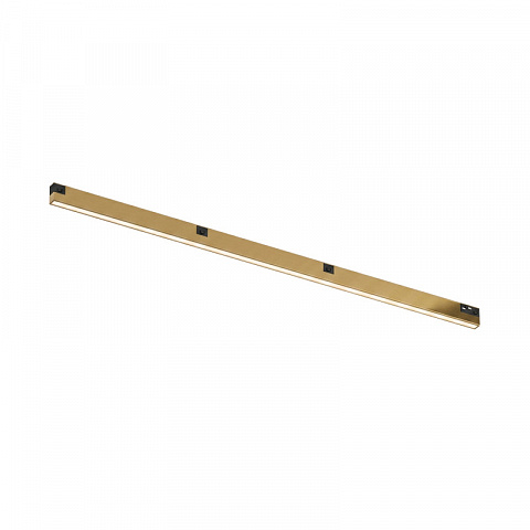 Светильник на шине Denkirs DK4752-SB
