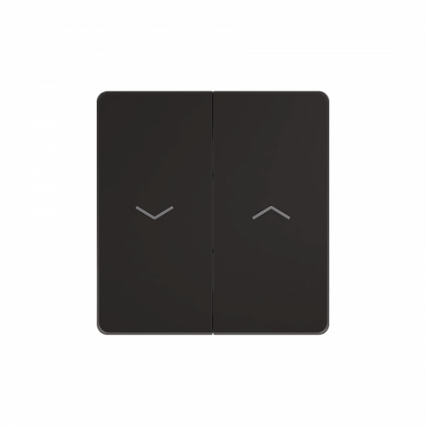 Systeme Electric Systeme Infinity Полярная ночь Выключатель для жалюзи, 10А